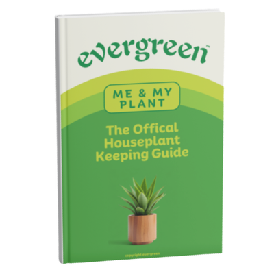 ME & MY PLANT | THE OFFICAL HOUSEPLANT KEEPING GUIDE