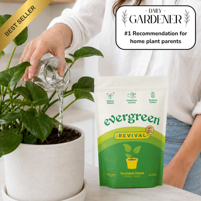 REVIVAL PLANT WATERING MIX
