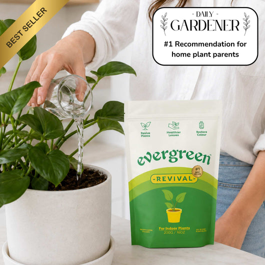 REVIVAL PLANT WATERING MIX