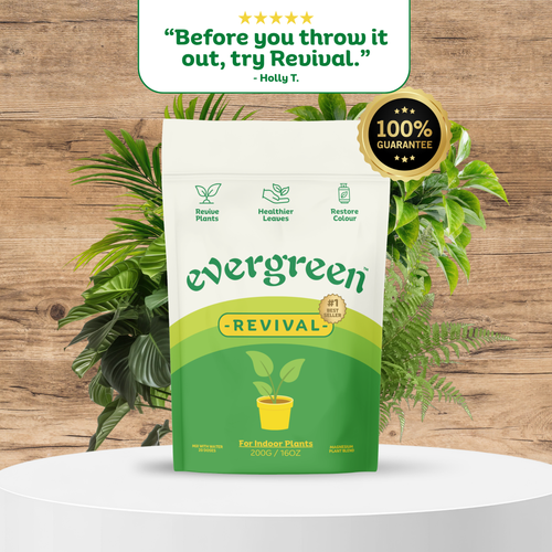 REVIVAL PLANT WATERING MIX